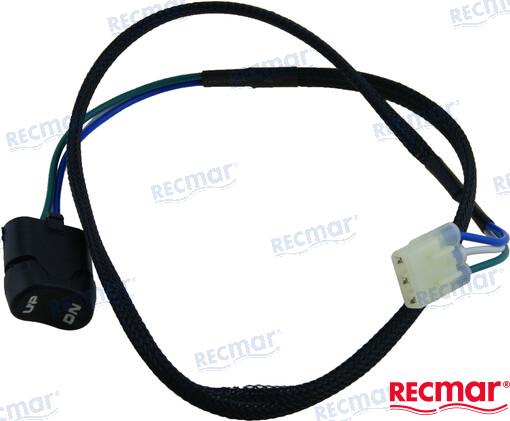 INTERRUPTOR TRIM