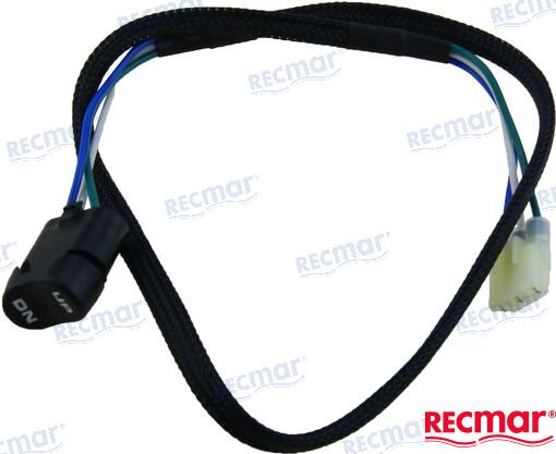 INTERRUPTOR TRIM