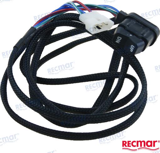 INTERRUPTOR TRIM