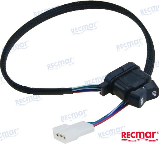 INTERRUPTOR TRIM