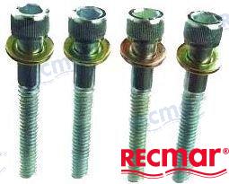 KIT 4 TORNILLOS COLA