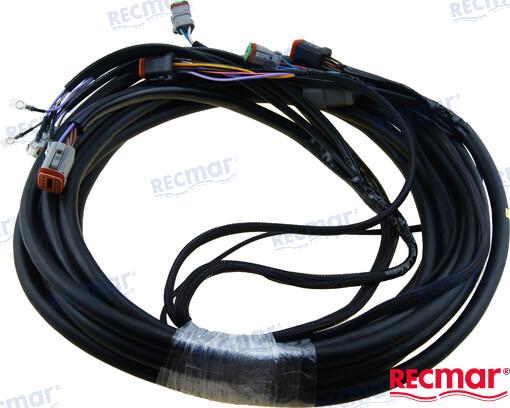 ARNES ELECTRICO 28´