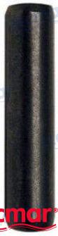 PASADOR