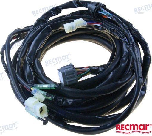 ARNES EXT. SUZUKI 5 M. CON PT