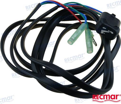 INTERRUPTOR TRIM