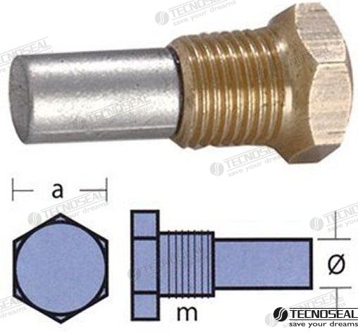 KIT ANODO BUKH C/TAPON