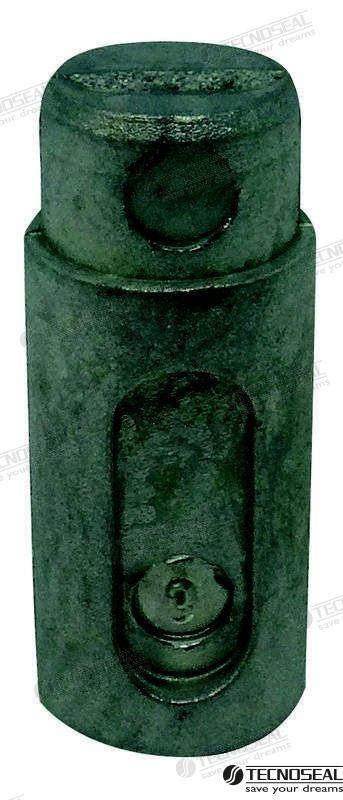 ANODO RENAULT TEN02090T