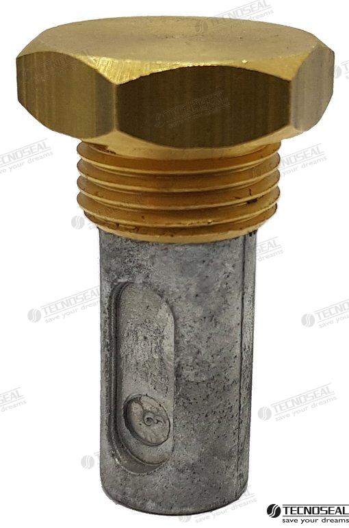 ANODO RENAULT C/TAPON