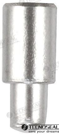 ANODO NANNI MERCEDES DIA 10MM TEN02100T